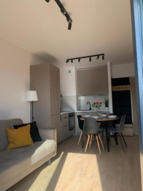 Stylish Apartament in the city center Lodz